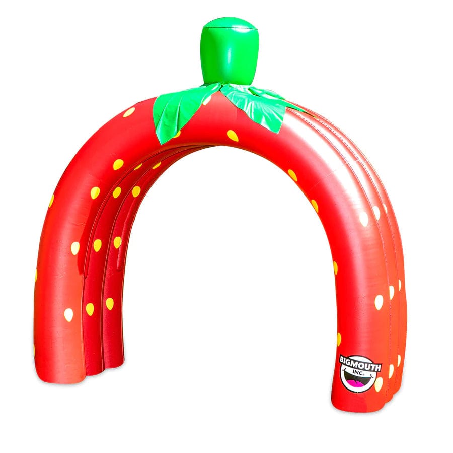 BigMouth Qualifies for Free Shipping BigMouth Strawberry Tunnel Sprinkler 3 Arch #22-BYS-3917