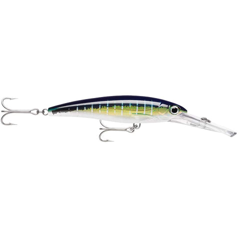 Rapala Qualifies for Free Shipping Rapala X-Rap Magnum 15 Sailfish UV #XRMAG15SFU